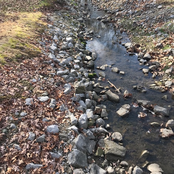 Meet your Posher, Rachel - Picture 1 of 1